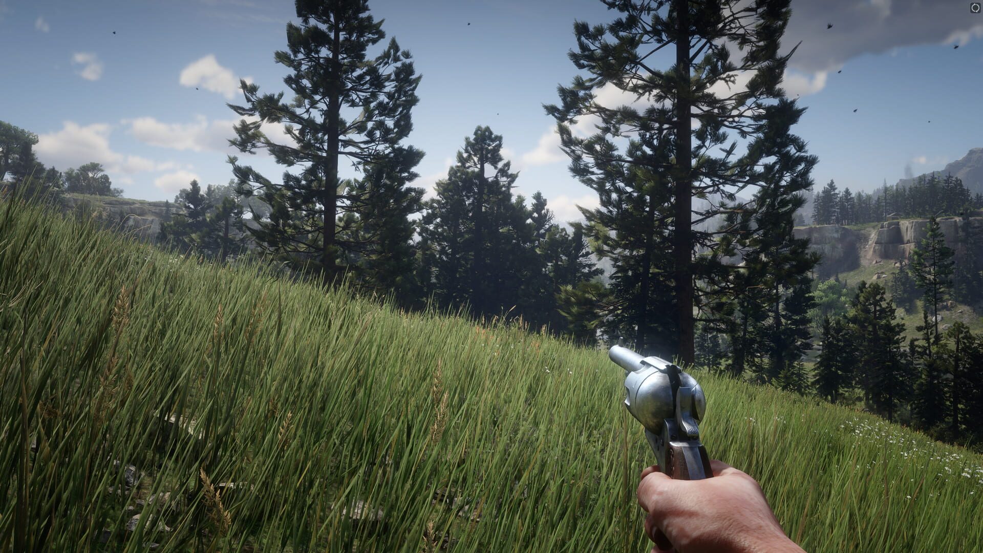 Red Dead Redemption 2 screenshot 2