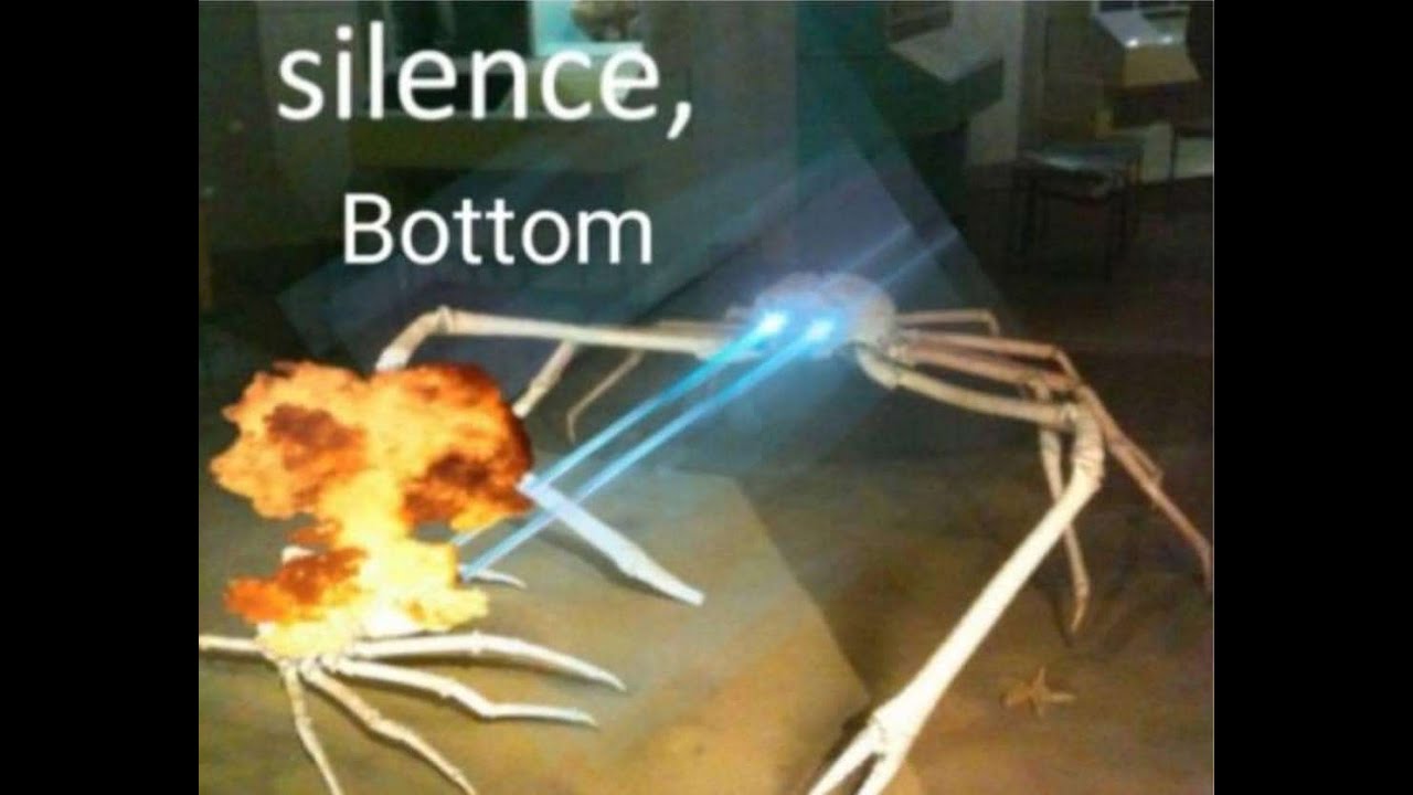 COMBAT WARRIORS TRICKSHOTTING!!!!!