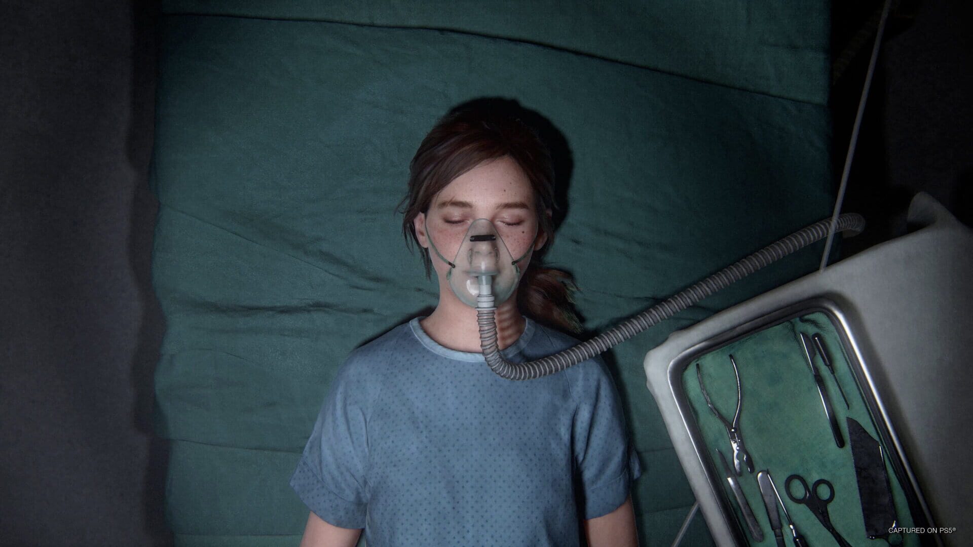 The Last of Us Part II Remastered screenshot 4