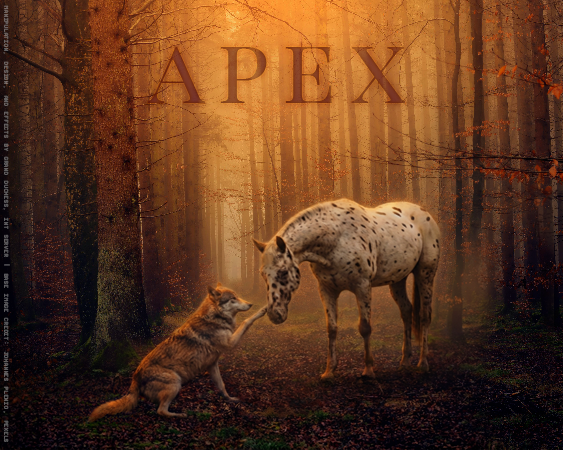 Apex-Banner.png?format=webp&quality=lossless&width=704&height=563