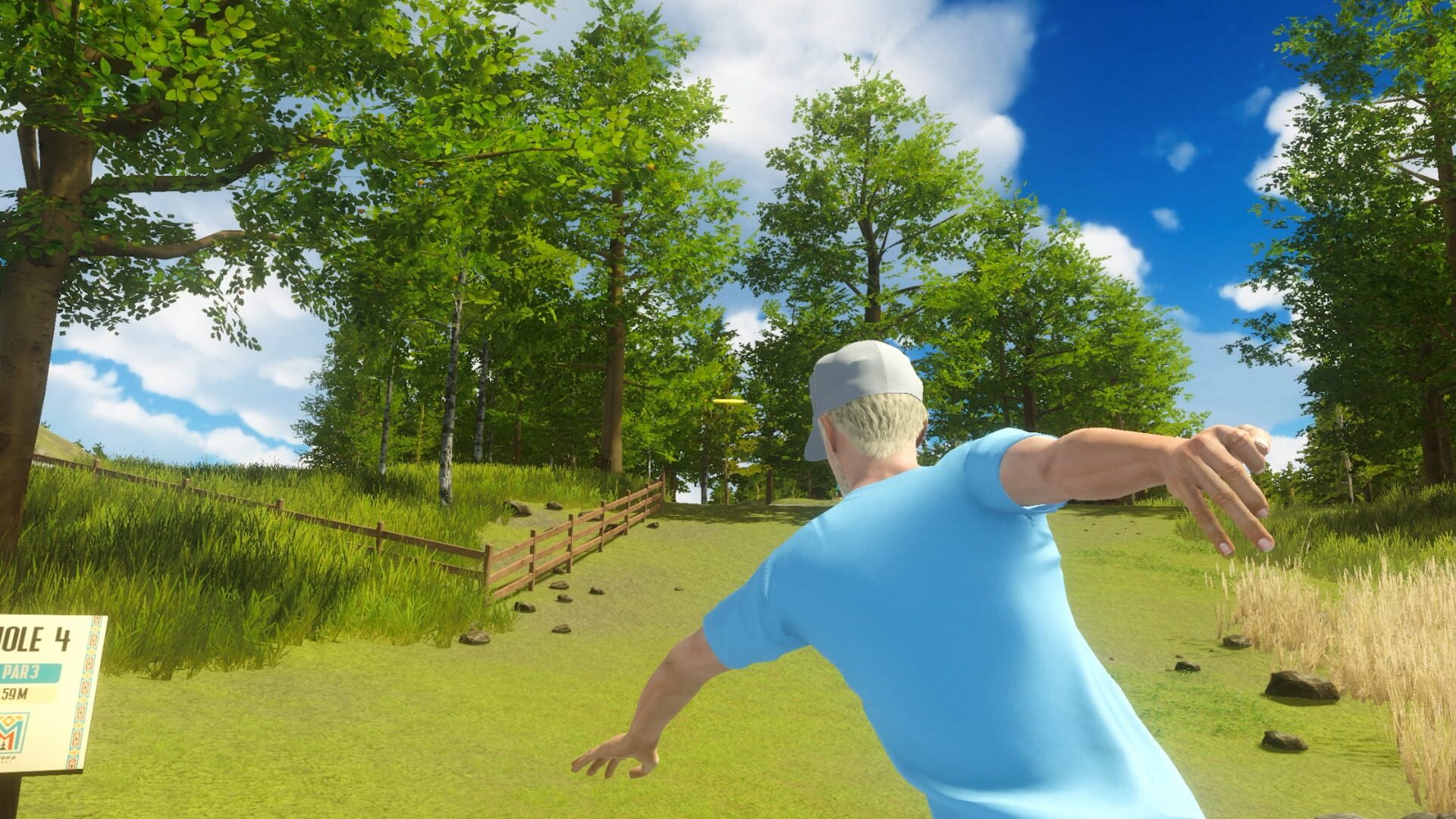 Disc Golf Masters screenshot 8