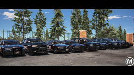 Fivem Police Wheel Pack