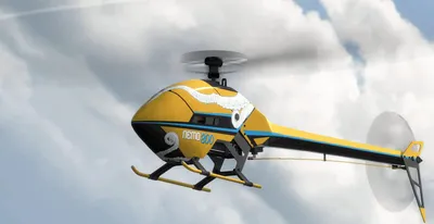 RealFlight Evolution screenshot 1