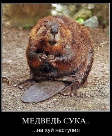 1532987477141761163.jpg?width=384&height