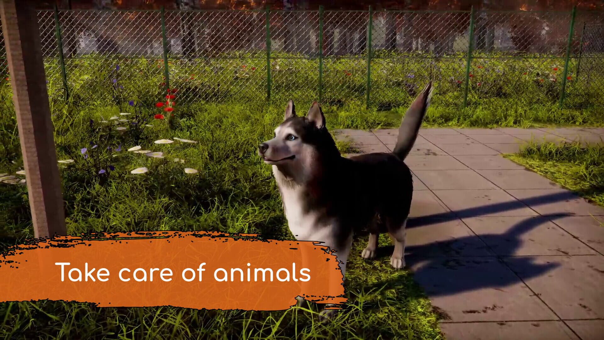 Animal Shelter 2 screenshot 10