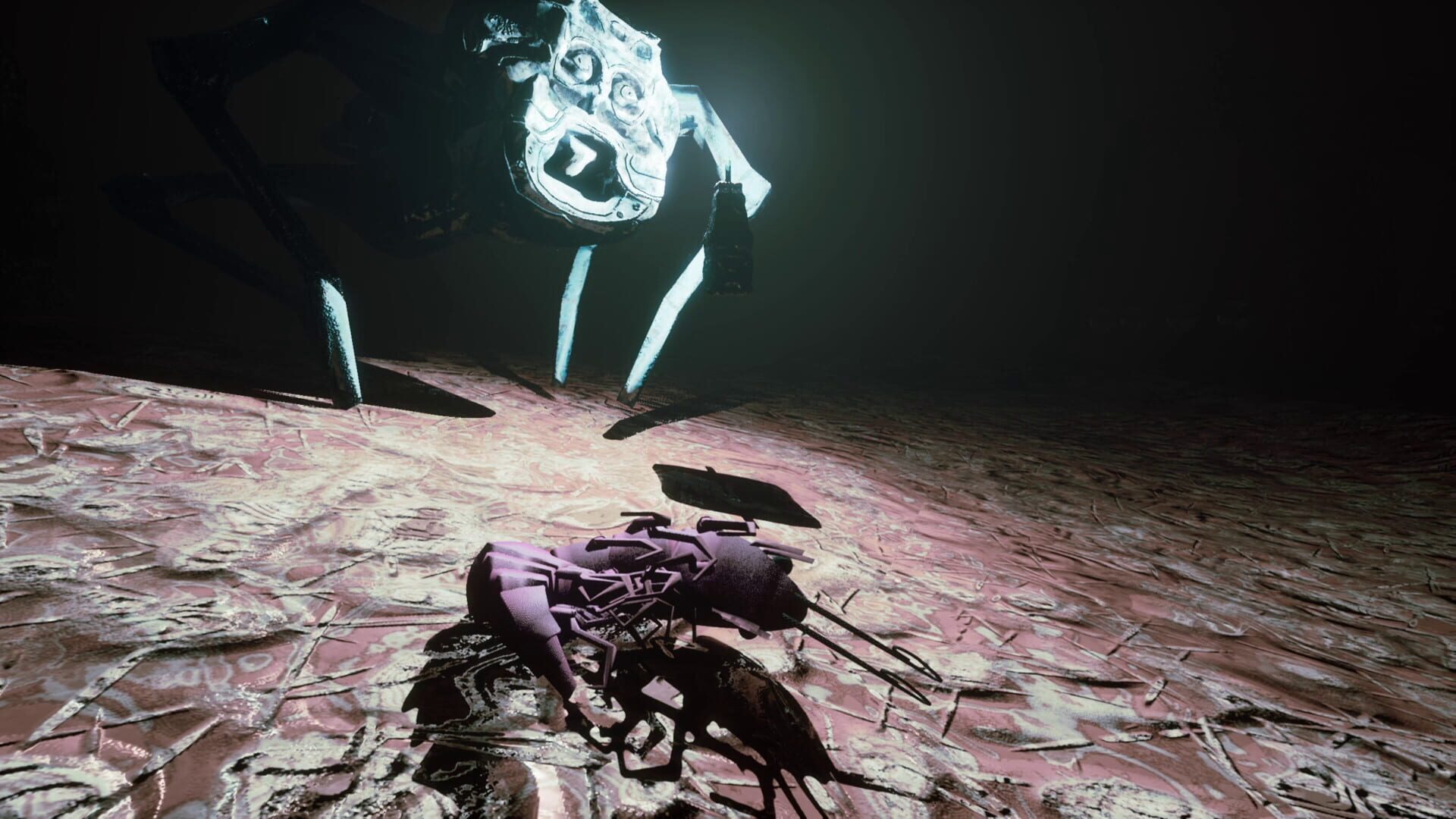 Shrimp screenshot 3