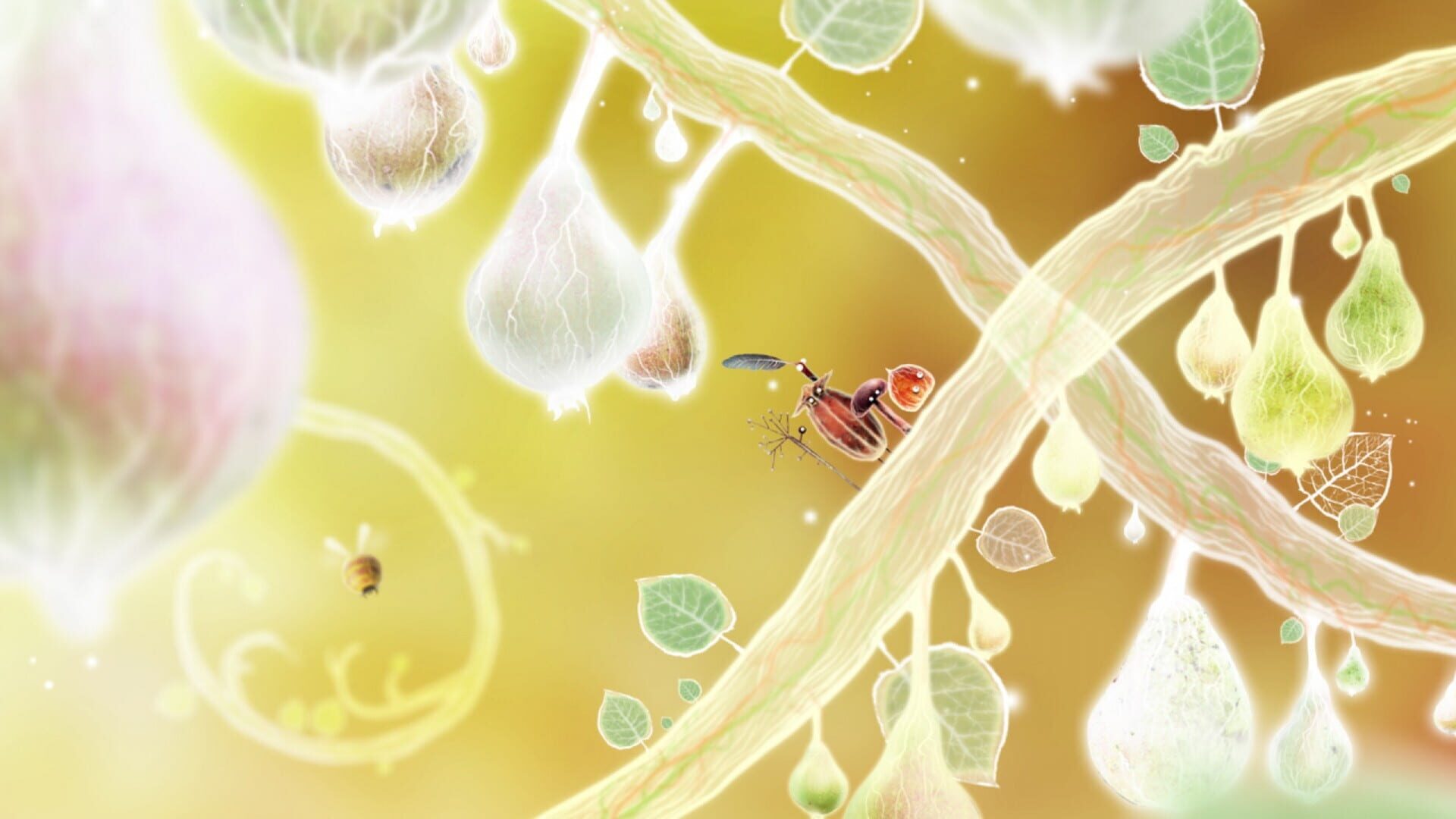 Botanicula screenshot 6