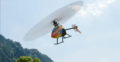 RealFlight Evolution screenshot 8