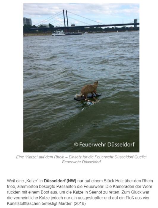 KFMwAOB.jpg?width=533&height=702