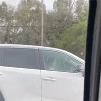 7P0r922.thumb.gif.495df76ae4f577a853280b