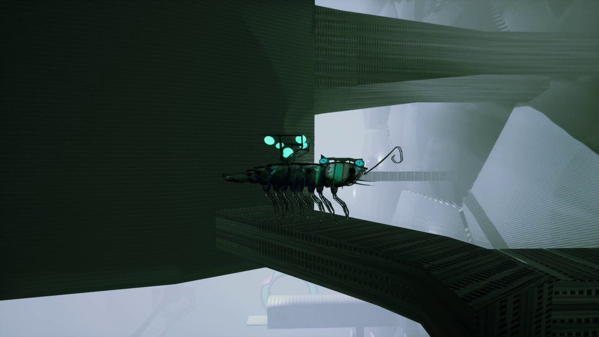 Shrimp screenshot 8