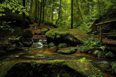 Willow Stream Landscape-2134786_960_720