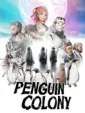 Penguin Colony cover art