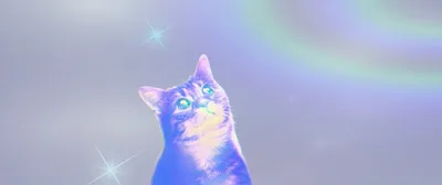 PUSS! screenshot 10