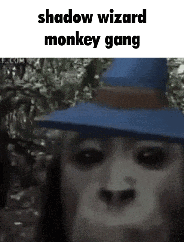 shadow-wizard-money-gang-shadow-wizard-monkey-gang.gif
