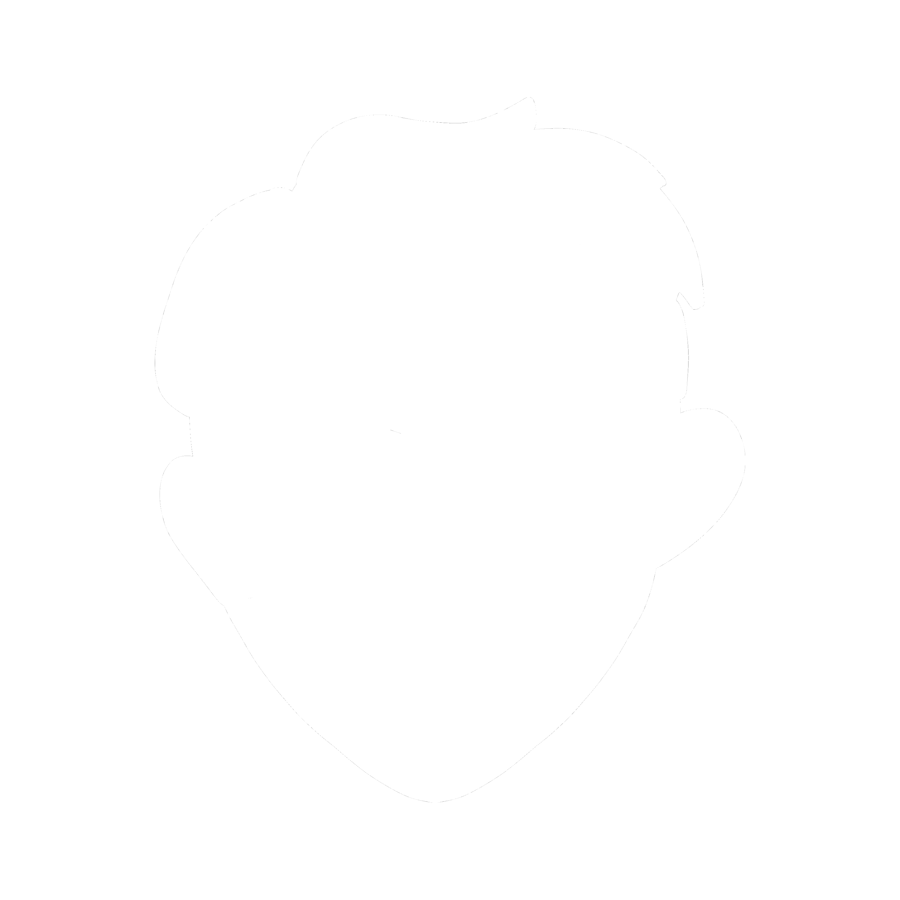 Author icon