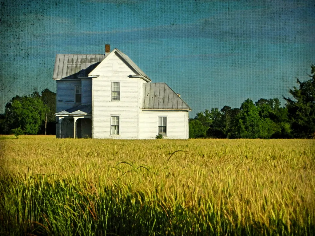 8841463880_a490af2cf1_b.jpg?format=webp&width=1240&height=930