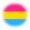 pansexual