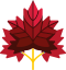 Author icon