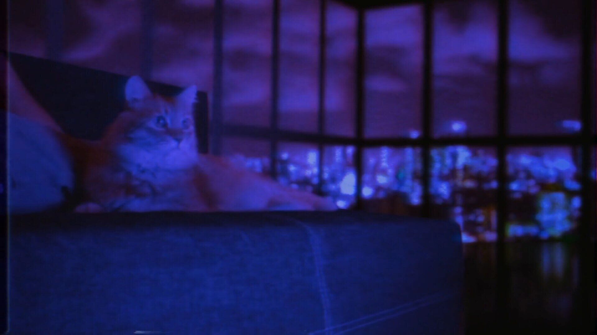 PUSS! screenshot 9
