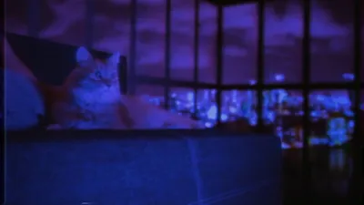 PUSS! screenshot 9