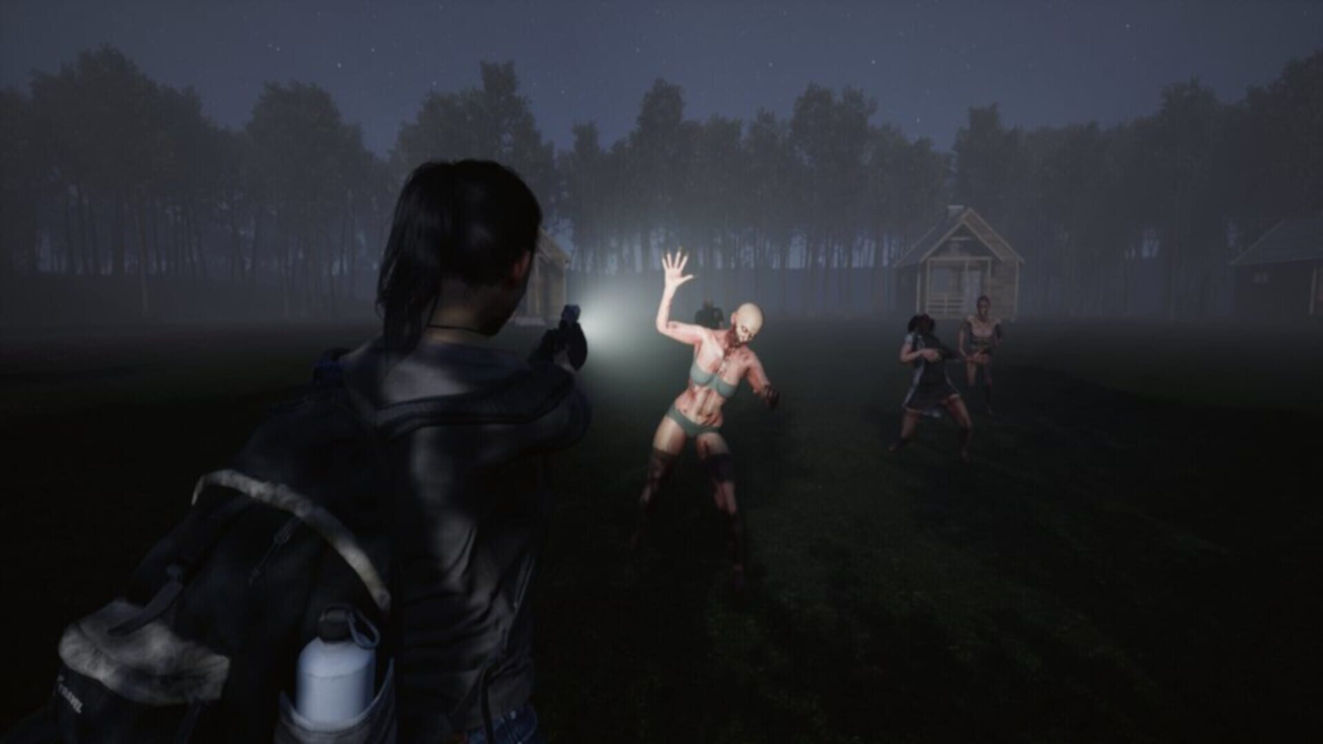 Aftermath Z: Red Pine Lake screenshot 5