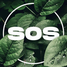 SoS Bot