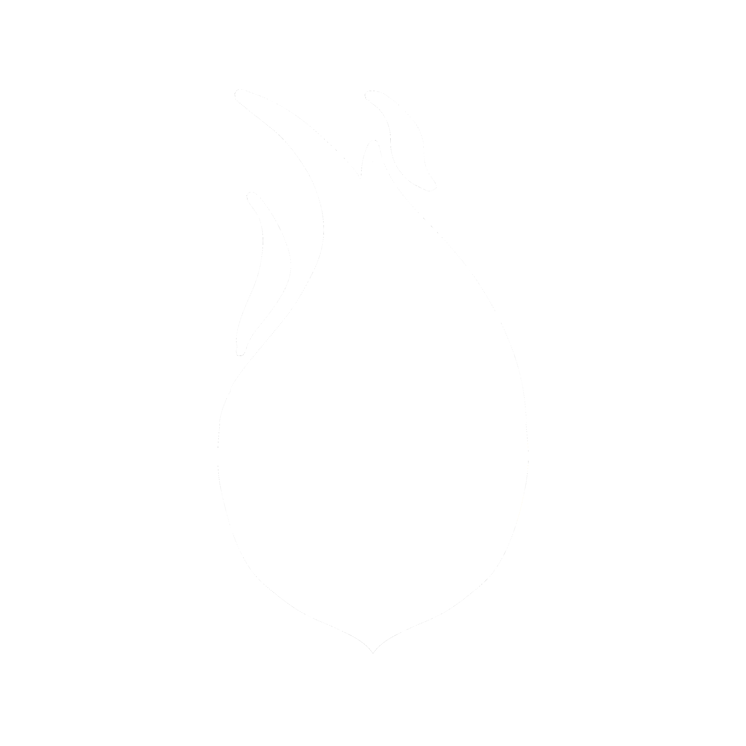Author icon