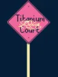 Titanium Court cover art