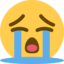 Footer icon