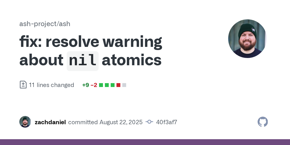 fix: resolve warning about `nil` atomics · ash-project/ash@40f3af7