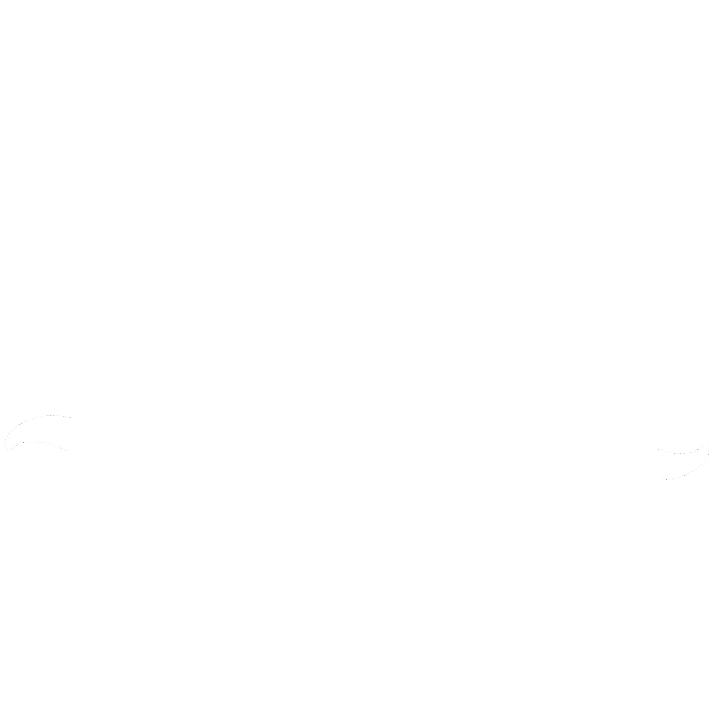 Author icon
