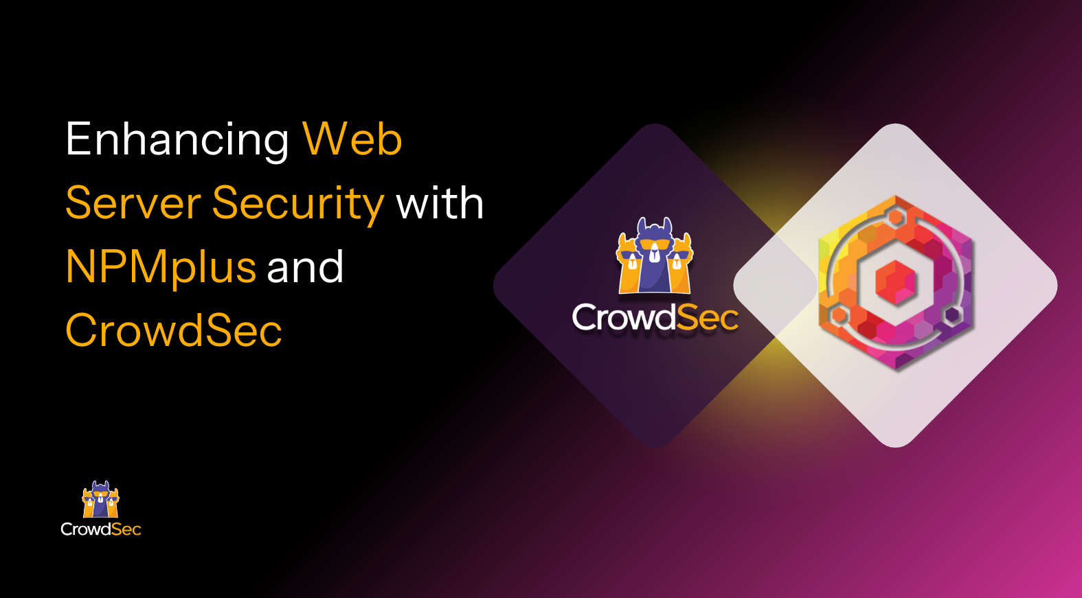 Enhancing Web Server Security with NPMplus and CrowdSec