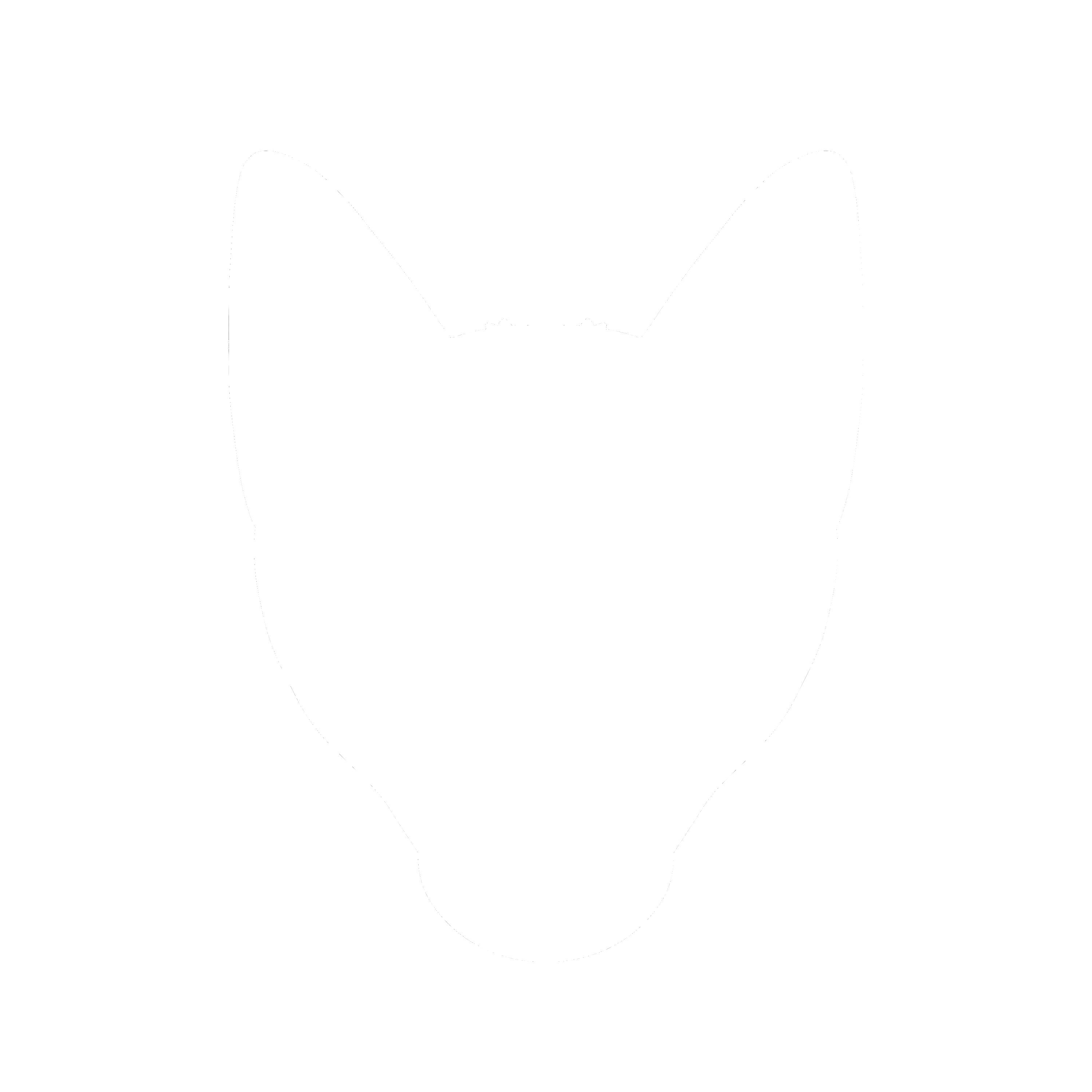 Author icon