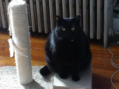 5t2kJdL.jpg?width=400&height=300