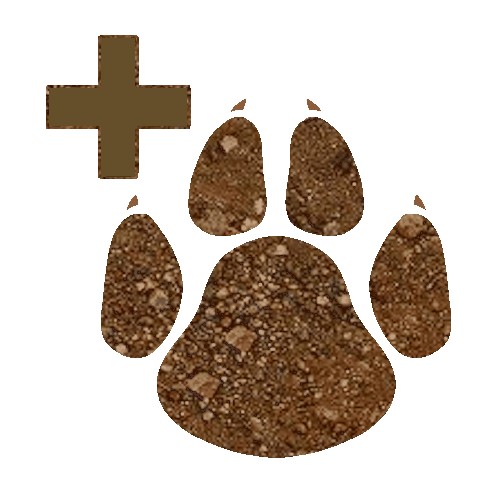 Author icon