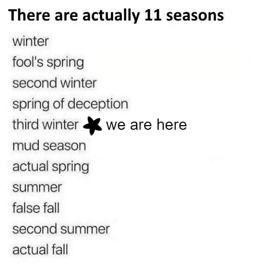 cfx7tqazwgp21.png?format=webp&quality=lossless