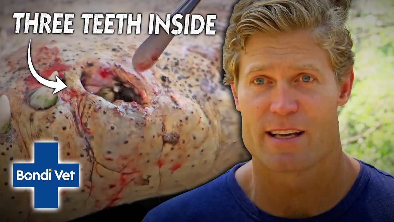 YouTube video thumbnail