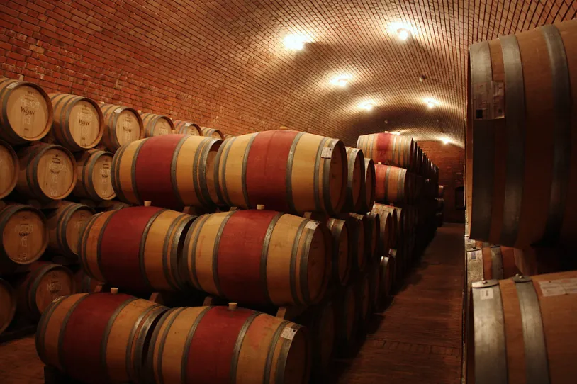 5082388413_a9a5409750_b.jpg?format=webp&width=814&height=543