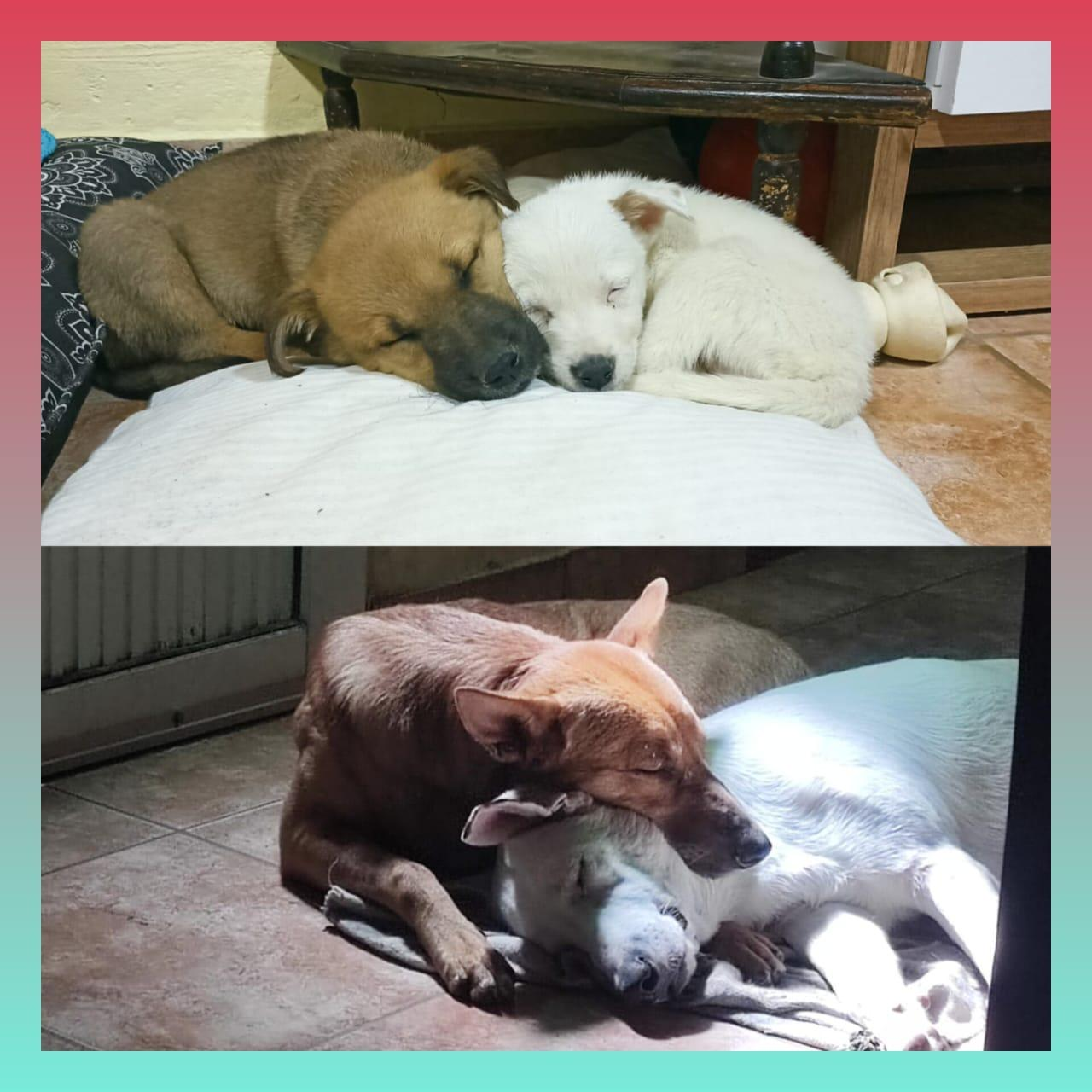 6E2Qldl.jpg?format=webp&quality=lossless