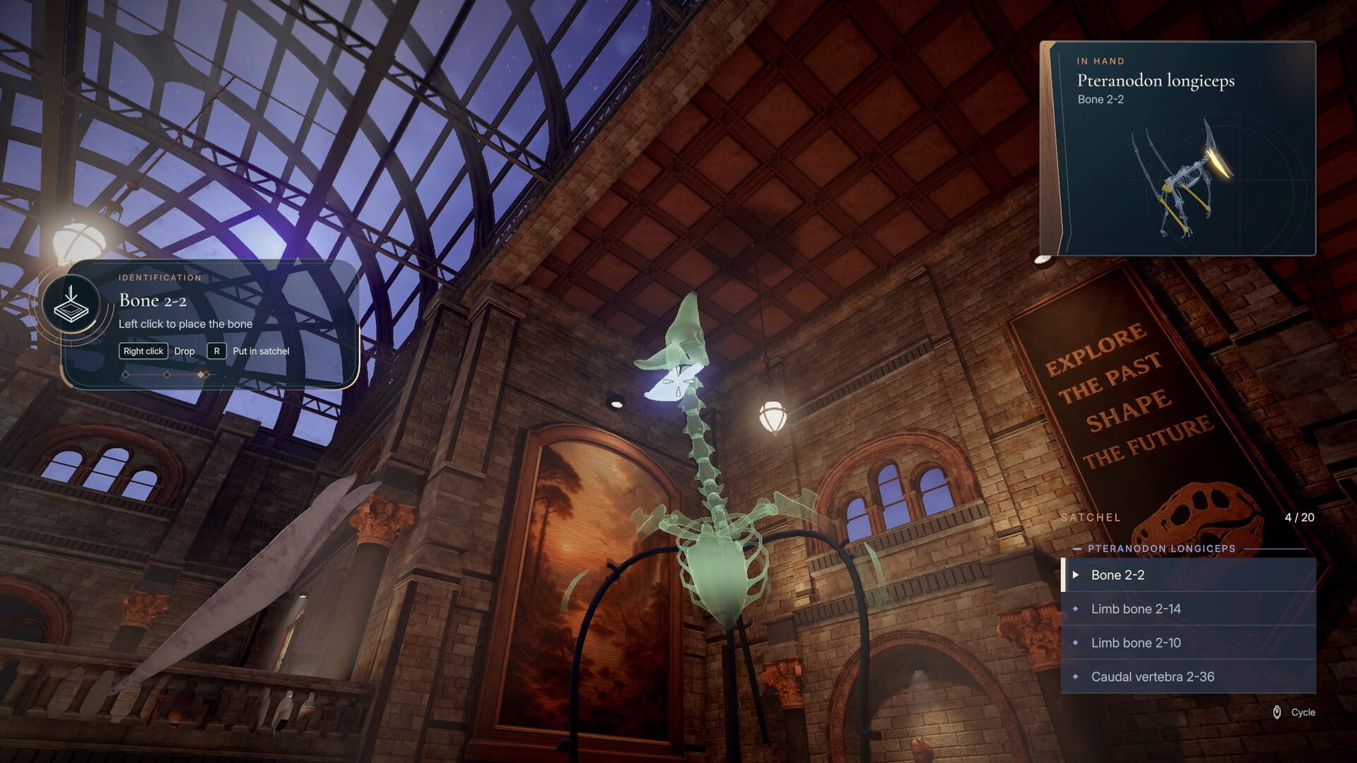 DinoBones: Tidy Up the Museum screenshot 4
