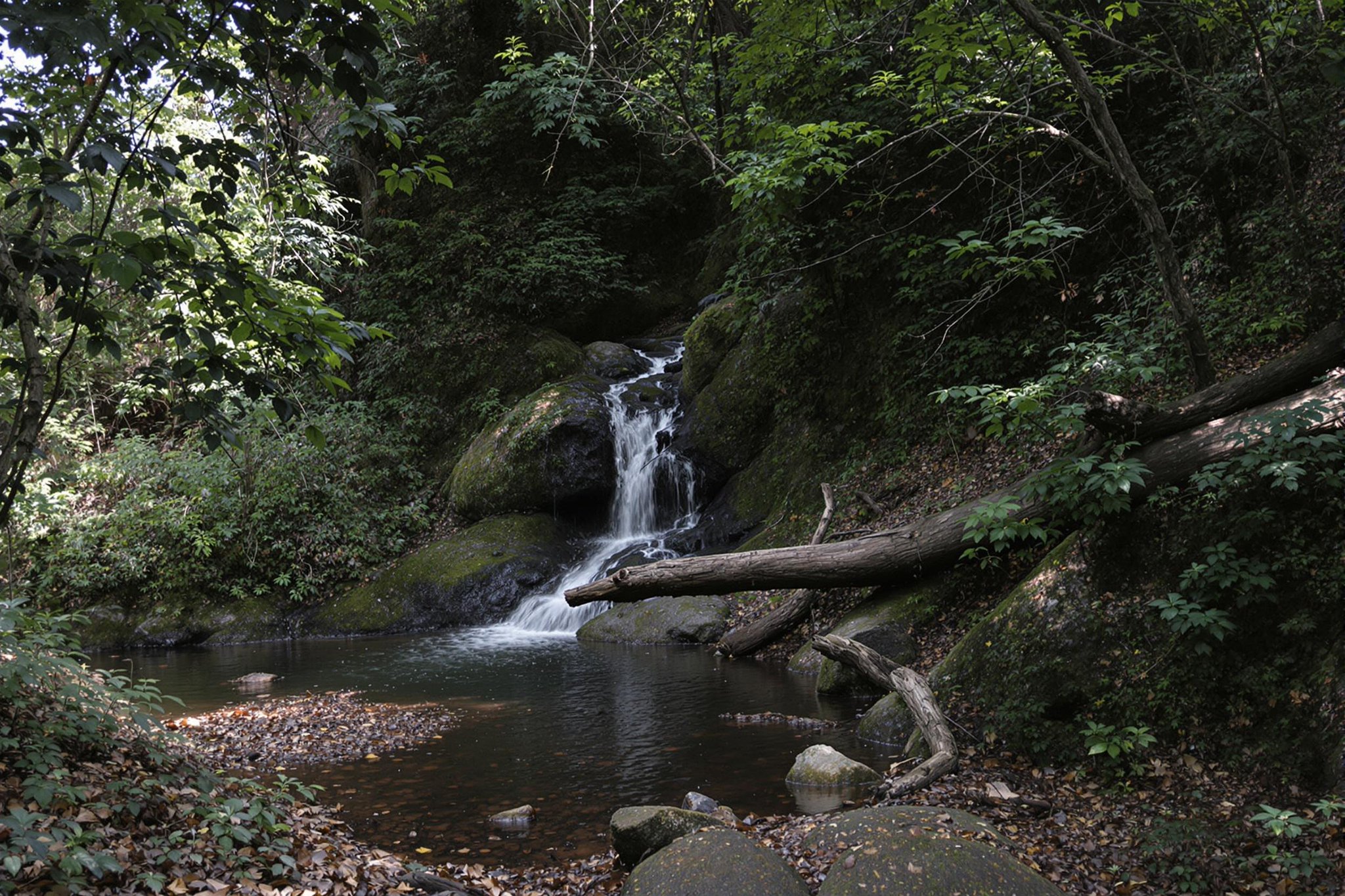 That Is Face Swap Software Engineering Courses SECourses that-is-face-swap-software-engineering-courses-secourses