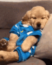 image.gif?width=108&height=135