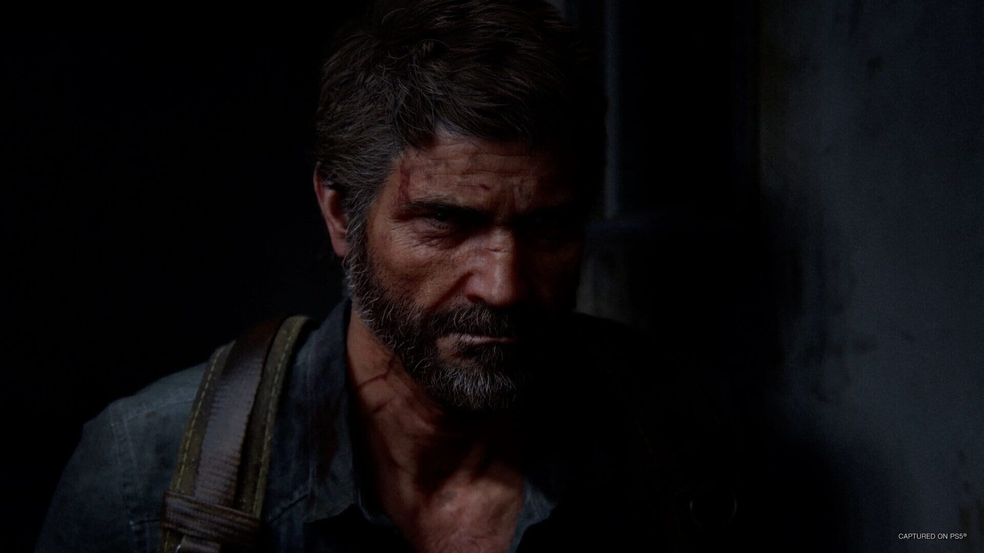 The Last of Us Part II Remastered screenshot 11