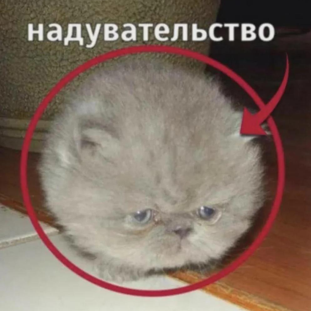 Footer icon