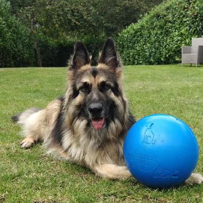 fix: refactor workflow to support multiple images by p5 · Pull Requ...