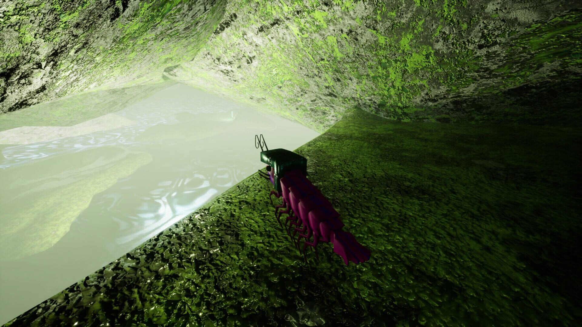 Shrimp screenshot 5