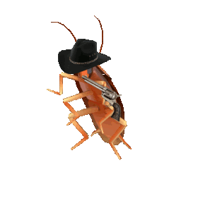 roach-cowboy.gif
